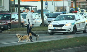 Panevėžio policija vėl fiksavo pažeidimus pėsčiųjų perėjose