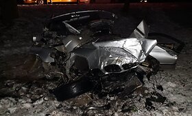 Panevėžio rajone BMW rėžėsi į medį