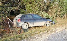 Panevėžio rajone &bdquo;Audi&ldquo; rėžėsi į tvorą ir medžius