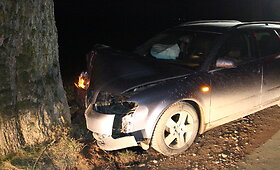 Panevėžio rajone &bdquo;Audi&ldquo; trenkėsi į medį