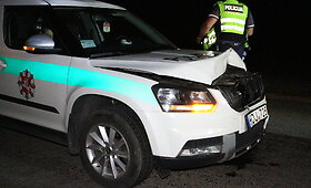 Panevėžio rajone policijos automobilis susidūrė su elniu