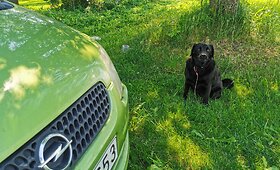 Panevėžio rajone nuo kelio nuvažiavo &bdquo;Opel&ldquo;