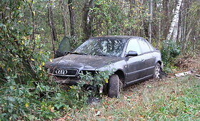 Panevėžio rajone nuo kelio nuvažiavo &bdquo;Audi&ldquo;