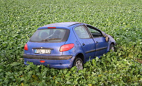 Prie Upytės apsivertė &bdquo;Peugeot&ldquo; vairuotoja