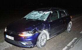 Panevėžio rajone &bdquo;Volkswagen&ldquo; susidūrė su elniu