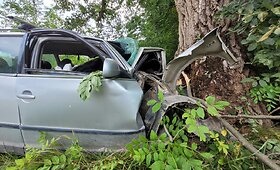 Pasvalio rajone žuvo į medį atsitrenkęs &bdquo;Volkswagen&ldquo; vairuotojas