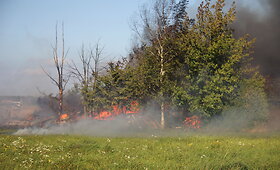 Panevėžio rajone sudegė sodyba
