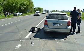 &bdquo;Toyota&ldquo; ir &bdquo;Renault&ldquo; avarija Panevėžyje