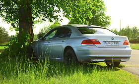Panevėžio rajone į medį rėžėsi BMW