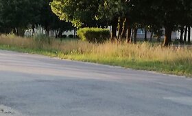 Nenu&scaron;ienauti &Scaron;iauliai
