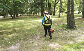 Joni&scaron;kio parkas