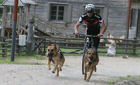 Martynas Rutkus ir kinkinių sportas