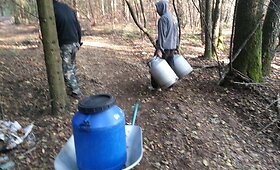 Barvų kaimo eglyne veikė naminukės fabrikas