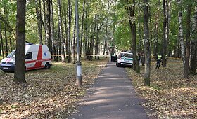 Kraupus radinys Panevėžio parke &ndash; nužudytas vyras