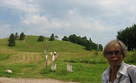 Kaune dingo Valerija Urmonienė