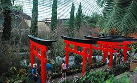 Singapūro botanikos sode