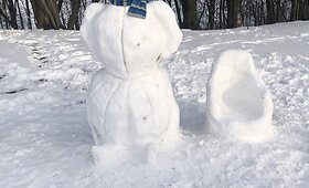Skaitytojų sniego lipdiniai