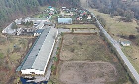 Belmonto žirgynas