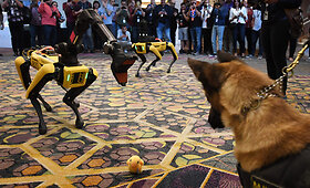 &bdquo;Boston Dynamics&ldquo; robotas &bdquo;Spot&ldquo;