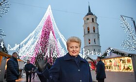 Prezidentės Dalios Grybauskaitės 2017-ieji pro fotoobjektyvą