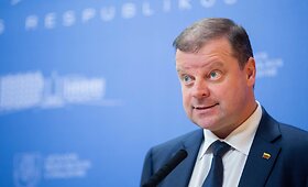 S.Skvernelio ir V.Sinkevičiaus spaudos konferencija