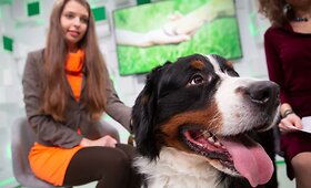 15min studijoje &ndash; gražiausias Lietuvos &scaron;uo Benny ir jo &scaron;eimininkė