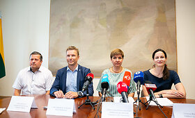 Gedimino kalno sutvarkymo projektavimo paslaugų įsigijimo konkurso rezultatų pristatymas