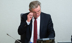 J.Narkevičius Vyriausybės valandos metu Seime