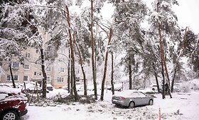 Vilniuje gausus sniegas laužo medžių &scaron;akas