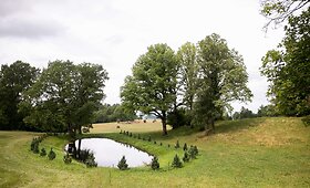 Projekto &bdquo;Žingsniai&ldquo; herojus Žydrūnas Bucius
