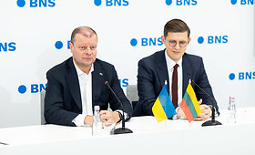 Demokratų sąjungos &bdquo;Vardan Lietuvos&ldquo; spaudos konferencija po merų rinkimų