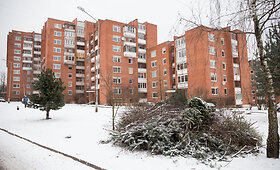 Daugiabučių kiemuose vis dar stūkso eglučių krūvos
