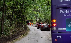 Stiprus vėjas Vilniuje varto tvoras ir laužo medžius