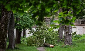 Audros padariniai Sapiegų parke ir Antakalnio kapinėse