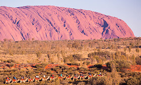 &bdquo;GRŪDOS&ldquo; kelionių po Australiją akimirkos