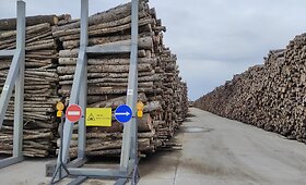Medienos drožlių plok&scaron;čių gamyklos atidarymas Akmenės laisvojoje ekonominėje zonoje