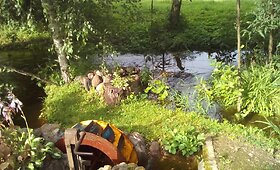 Albinas nuo vaikystės myli gamtą ir augalus