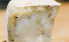 &bdquo;Masters of cheese&ldquo; Pecorino sūriai