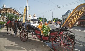 Liepos 14 d. planuokite Kaune: Aludarių dienos metu kviečia geriau pažinti aludarystės amatą