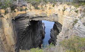 Tasmanijos gamta ir gyvūnai