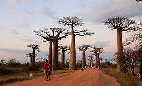 Kelionės po Madagaskarą akimirkos