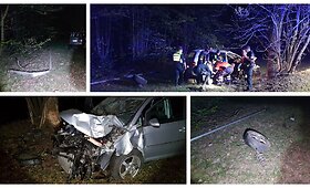 Girtas vairuotojas sostinėje nuvertė stulpą ir rėžėsi į medį