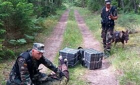 Čepkelių rezervate tarnybiniai &scaron;unys susekė kontrabandinių rūkalų ne&scaron;iką