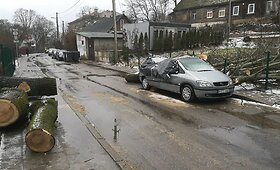 Sostinės Užupyje ant automobilio užvirto medis