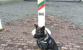 Prie sienos su Baltarusija Kabelių užkardos pareigūnai sulaikė alyti&scaron;kį