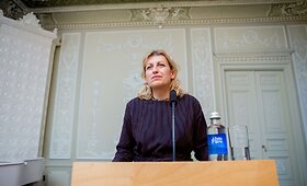 Kultūros strategijos iki 2030 m. projekto pristatymas