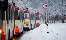 Narbuto gatvėje vėl strigo troleibusų eismas