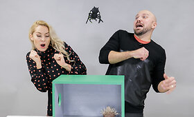 &bdquo;Atspėk, kas dėžėje&ldquo; &ndash; Remigijus Žiogas ir Rūta Mazurevičiūtė