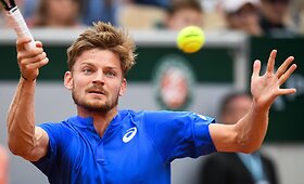 Ričardas Berankis - Davidas Goffinas