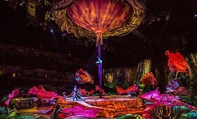 &bdquo;Cirque du Soleil&ldquo; &scaron;ou &bdquo;Toruk &ndash; The First Flight&ldquo;